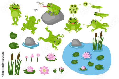 Cute frogs on the pond