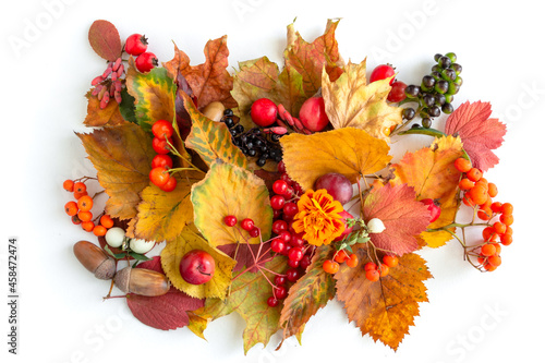 Autumn composition, dried leaves, berries on white background, thanksgiving day concept. Flat lay, top view