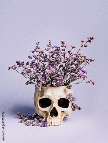 Lilac field flowers in a human's skull that serves as a pot on lavender pastel background. Creative Halloween floral concept. Dead head, gothic art, and romantic details. Fashion minimal art.