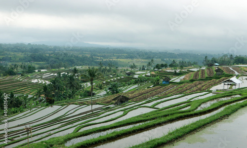  Amazing views of the terraced rice fields at Jatiluwih Bali. Balinese farmers cultivate crops in the fertile highlands of Bali. The expanse of cool green rice fields and clean clear water. Cool air a