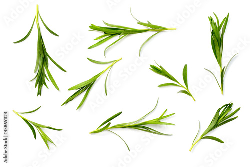 fresh tarragon herb isolated on the white background, top view