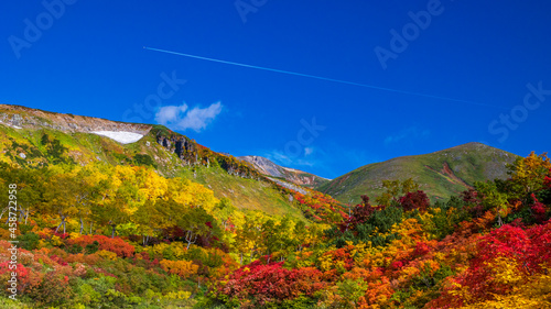 大雪山系の秋 紅葉 絶景