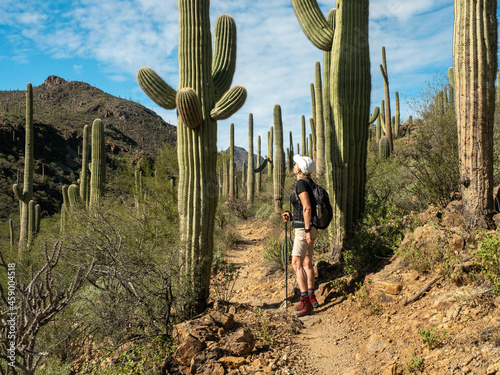 Retired woman waking in a trail among saguaro in the desert of Arizona