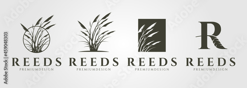 set of vector reed or cattail vintage logo vector illustration design