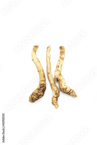 Organic horseradish roots isolated on white. Armoracia rusticana taproot.