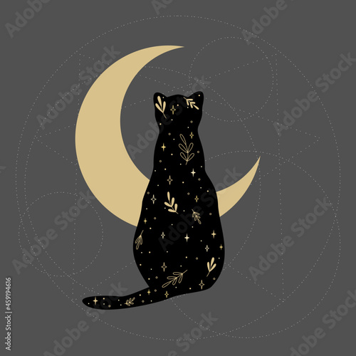 Czarny kot nowoczesnej wiedźmy z nocnym niebem, gałązkami i gwiazdami. Sylwetka magicznego kota na tle złotego półksiężyca. Ezoteryczna gotycka ilustracja wektorowa.