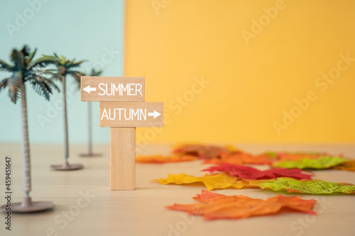 「SUMMER」「AUTUMN」と書かれた積み木と椰子の木のおもちゃ、紅葉