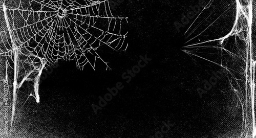 Spiderwes isolated on black grunge background. Cobweb frame. Halloween party. Texture of spider web. Halloween decoration. Gothic style