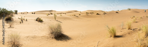 A beautiful panoramic view of the sand dunes. Endless arid desert