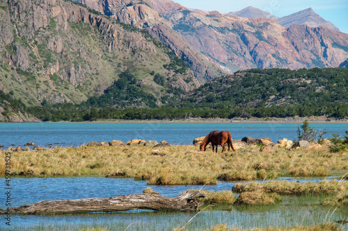 beautiful patagonia scenery with lakes, mountains and a horse