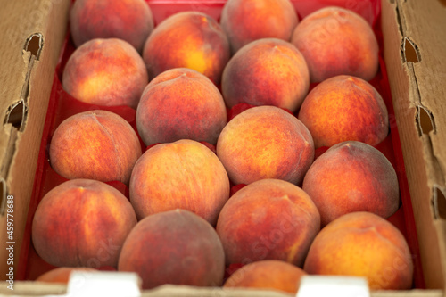 Box of peaches Angelus variety in a flat, box
