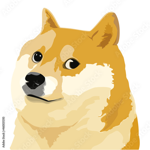 simple doge