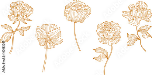 Rose flowers and leaves. Isolated on white. Hand drawn line vector illustration. Eps 10