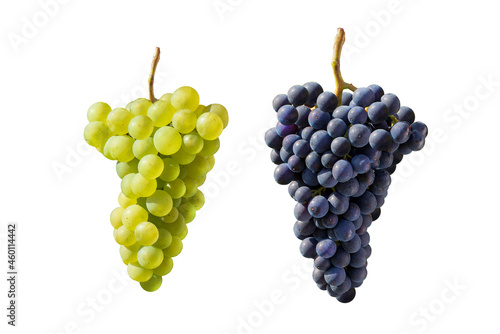  Weisswein und Rotweintrauben 