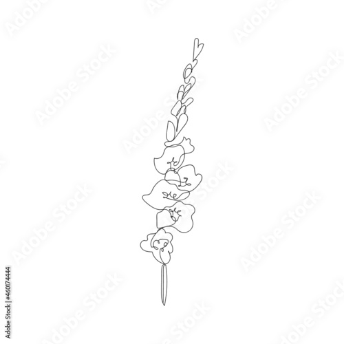 Continuous one line gladiolus flower. Moden style flower for logo, icon emblem or web banner. Hand drawn minimalism style vector illustration.
