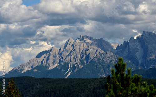 Foreground on the Rocca dei Baranci