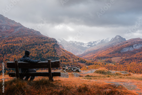 Tourist on wooden bench in Swiss Alps. Colorful forest with orange larch and snowy mountains on background. Switzerland, Maloja region, Upper Engadine. Landscape photography