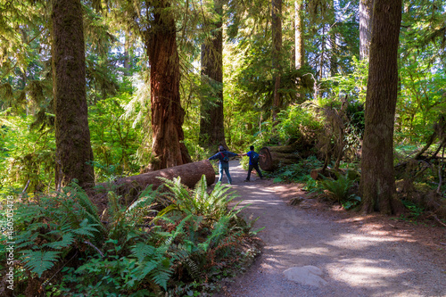 Asian family of mother and son hiking on the pacific northwest rain forest in Olympic national Park in Washington state.