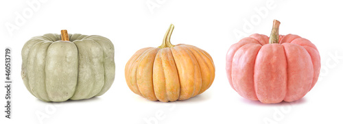 Fall pumpkins isolated on a white background. Assortment of green, orange and pink heirloom pumpkins. Blue doll, autumn frost and porcelain doll varieties.