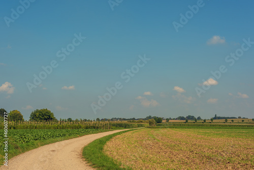 Bending gravel path between agricultural fields with trees on the horizon under a blue cloudy sky.