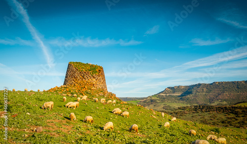 Nuraghe surrounded by sheep under a clear sky at sunset