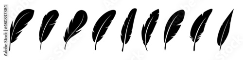 Set of Bird Feather. Feathers vector set in a flat style. Pen icon. Black quill feather silhouette. Plumelet collection isolated on white background