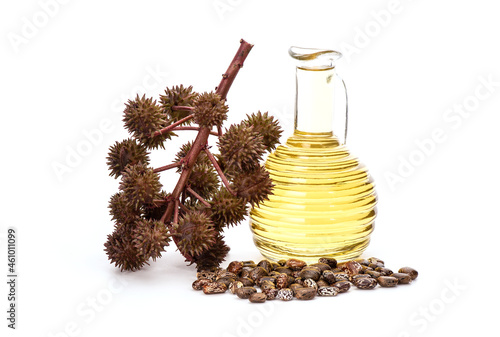 Ricinus communis or castor fruits,seeds and oil isolated on white background.