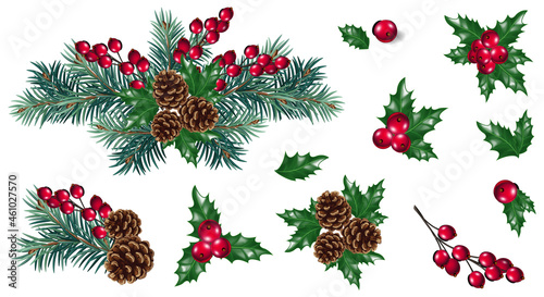 Vector Christmas decoration with pine tree branches and red berries. Christmas concept