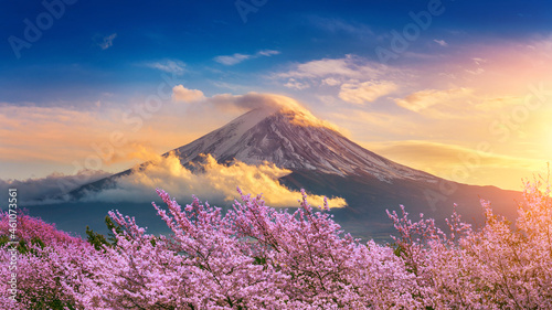 Fuji mountain and cherry blossoms in spring, Japan.