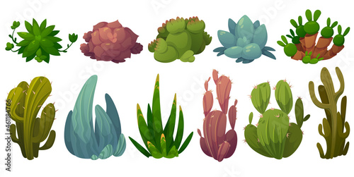 Set of cactus, desert cacti flowers opuntia, monilaria, cotyledon, echeveria colorata, echeveria agave,saguaro Cartoon succulents with green prickly or fleshy leaves, cactaceae Vector illustration