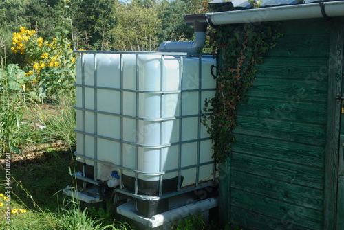 Récupérateur d'eau de pluie d'une cabane de jardin