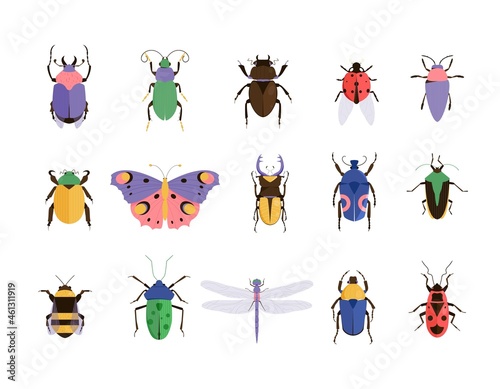 Vector illustration of bugs. Insect set. Beetle icons collection
