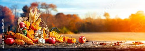 Basket Of Pumpkins, Apples And Corn On Harvest Table With Field Trees And Sky Background - Thanksgiving