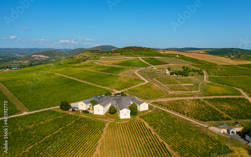 Vineyards in Tokaj region Hungary. Famous wine-producing countryside which a part of Unesco world heritage site. Many world famous sweet wine make here. For example Tokaji 6 putttonyos aszu wine.