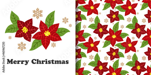 Christmas holiday season banner of Merry Christmas text and seamless pattern of Christmas winter poinsettia flower branches decorative and snowflakes on white background. Vector illustration.
