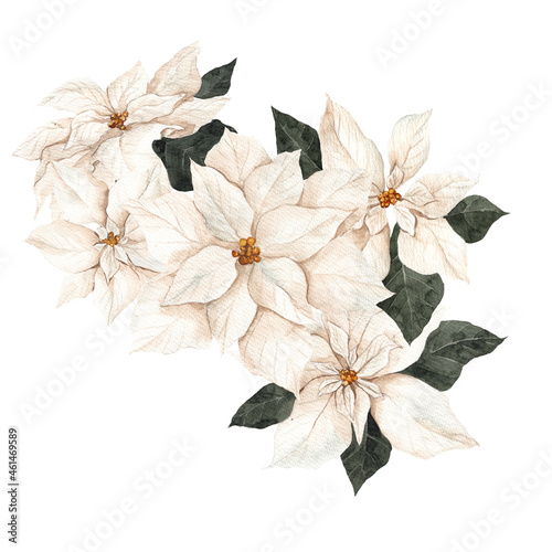 Watercolor illustration with red, white and graphic poinsettia, isolated on white background