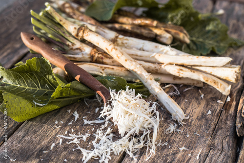 Fresh, dug-out root horseradish with leaves on the pile