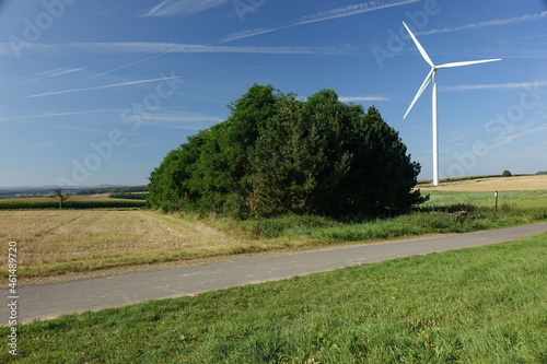 Road, fields, trees and wind power mill under a late summer blue sky at the German French border, Steine an der Grenze, Wellingen, Merzig, Saarland, Germany 