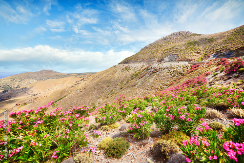 Mediterranean landscape with flowers and blue sky