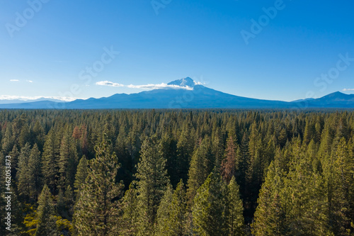 Aerial, drone view of Mount Shasta with pine trees in the foreground, California