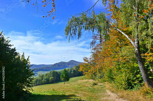 Autumn mountains landscape. Trees on a slope with dry grass and wooded mountains under blue sky with white clouds, Low Beskids (Beskid Niski)