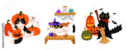 A cat in a Halloween costume. Halloween concept cute vector illustration.