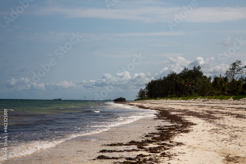 Plaża w Watamu nad Oceanem Indyjskim z wodorostami na brzegu