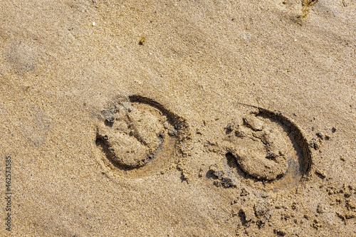 Horse shoe imprint on a warm sand. Equestrian abstract background.