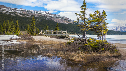 Das Bild zeigt eine Holzbrücke und krüppelige Kiefern am Bow Lake vor den kanadischen Rocky Mountains