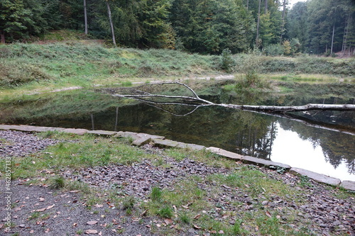 Schwanenweiher (swan pond) of Schloß Karlsberg (Karlsberg Castle) in the forests near Homburg, Saarland, Germany