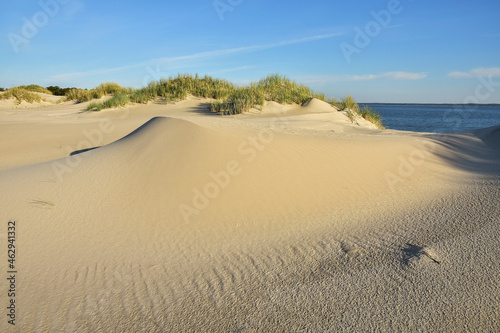 beautiful moving dunes and lake, Leba in Poland