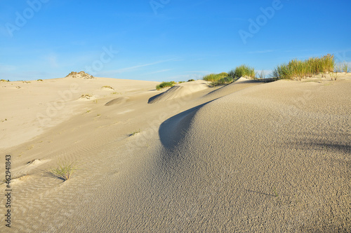 beautiful moving dunes, Leba in Poland