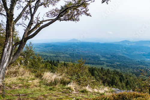 hiking in an amazing czech forest nature