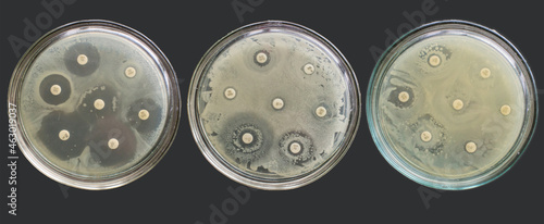 Antibiogram multiple drug resistance bacteria antimicrobial susceptibility tests